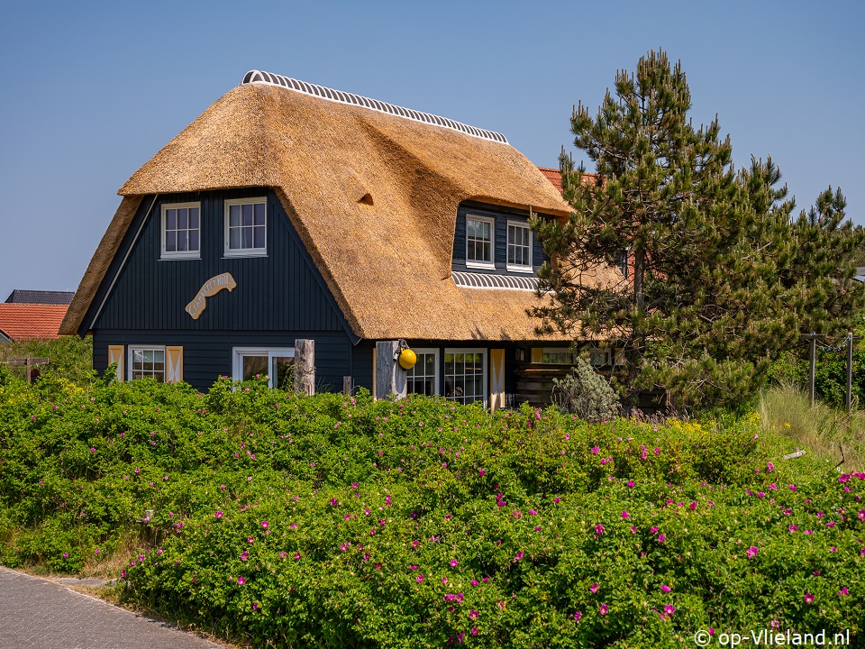 Cranberry Hill, Art route Vlieland