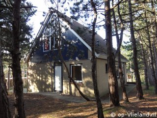 Vlaamse Gaai, Wadden Sea World Heritage Site Vlieland