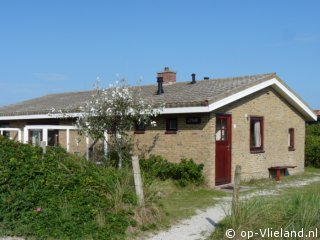 De Tille, Winter on Vlieland