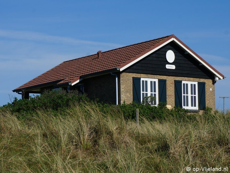 Duinroos, To Vlieland during school holidays