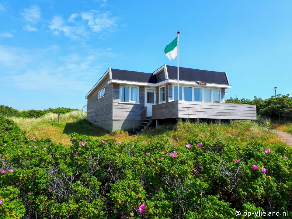 Fazant, Bungalow on Vlieland