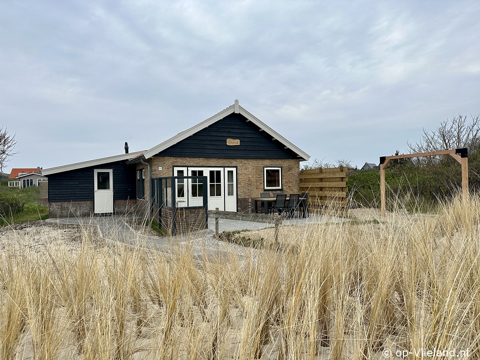 Goudvink, Horse riding on the beach on Vlieland