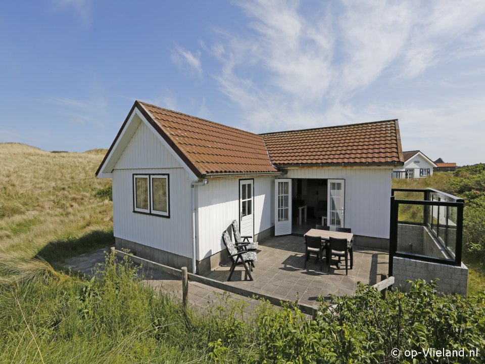 Hagedis, Bungalow on Vlieland