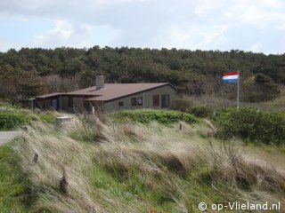 Klaverblad, Horse riding on the beach on Vlieland