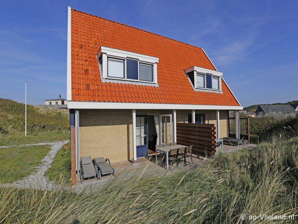 Nautilus, Horse riding on the beach on Vlieland