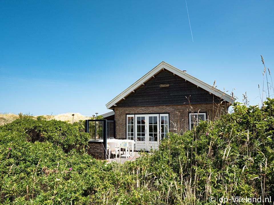 Pimpelmees, Bungalow on Vlieland