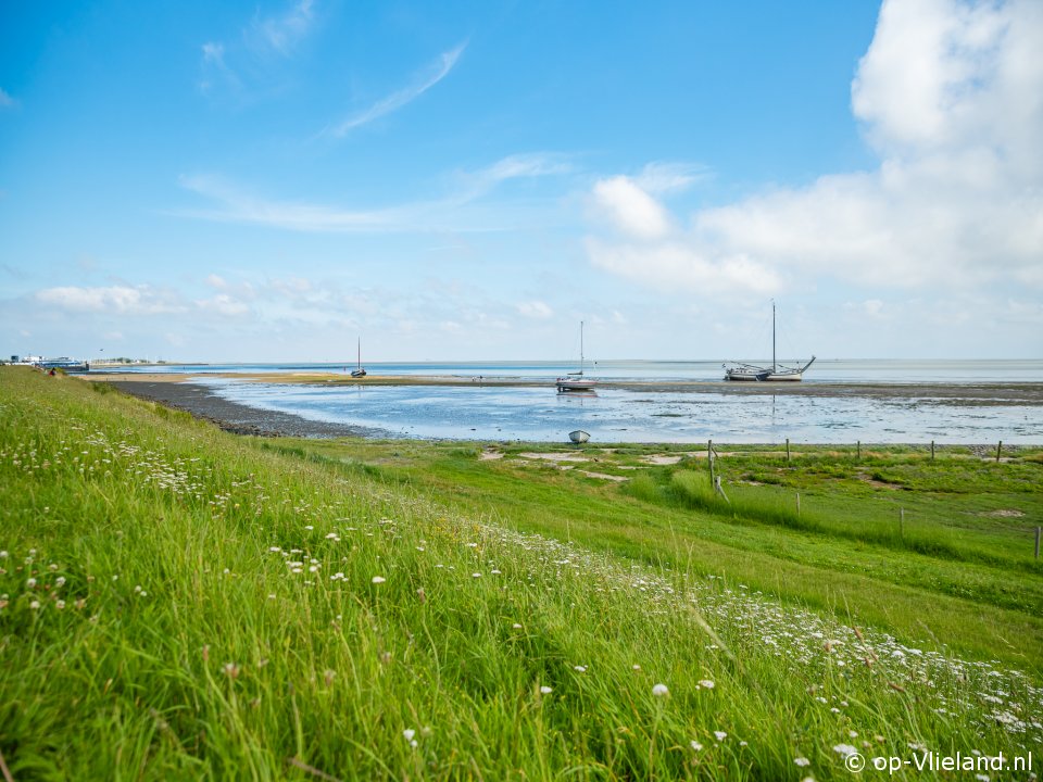 Westeynde