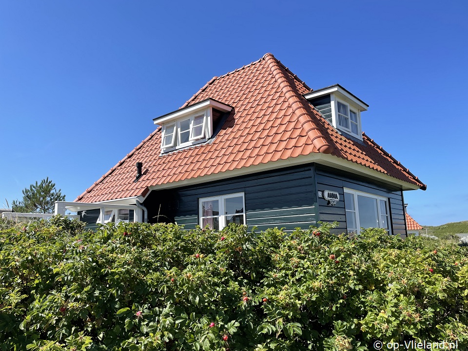 Anna, Weekend on Vlieland