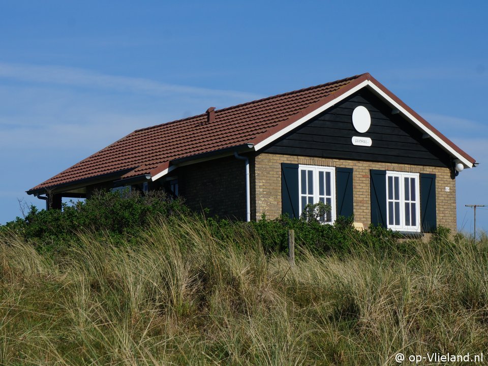 Duinroos, a day on Vlieland