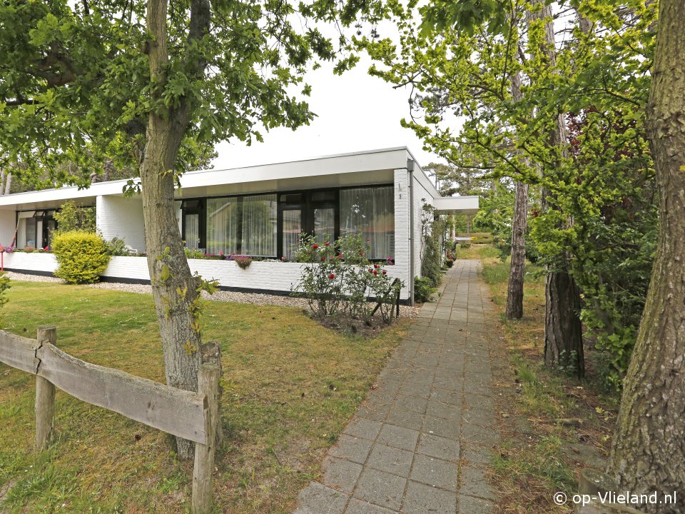 Houtsnip, Bungalow on Vlieland