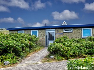 Jan-van-gent, Beach finds on Vlieland