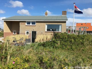 Kapmeeuw, Bungalow on Vlieland