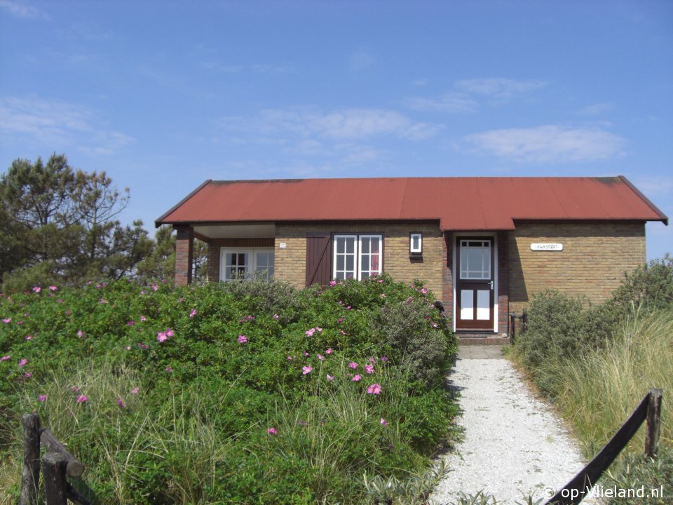 Kwikstaart, Beach finds on Vlieland