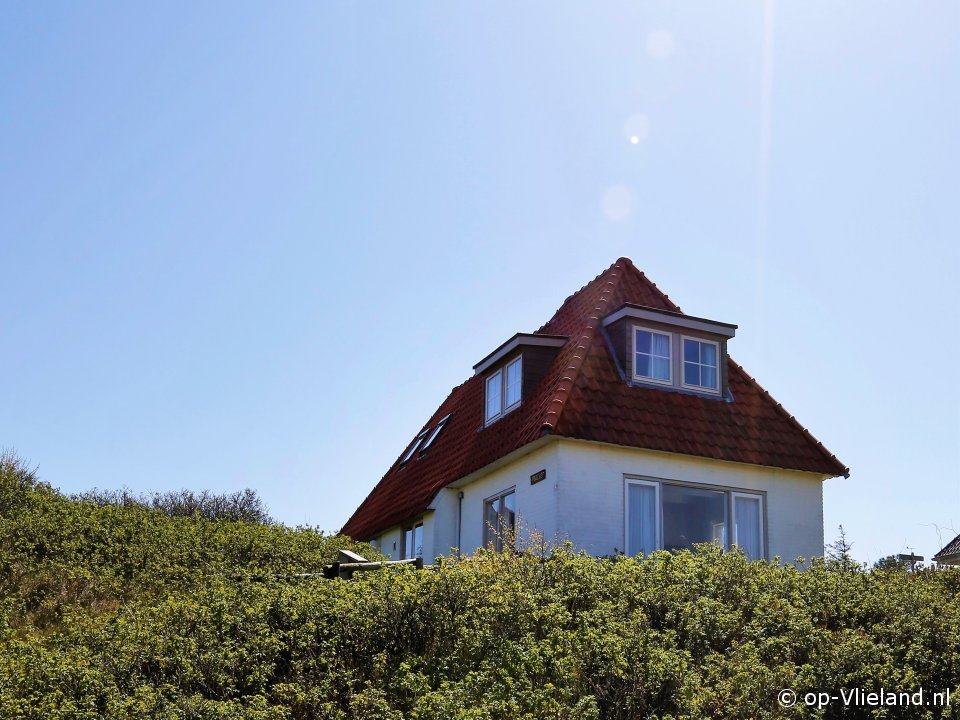 Poolster, Beach finds on Vlieland