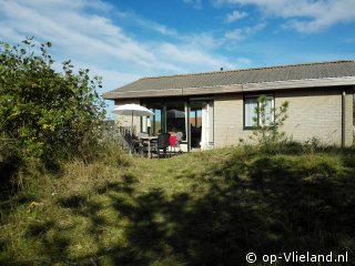 Schoener, Beach finds on Vlieland