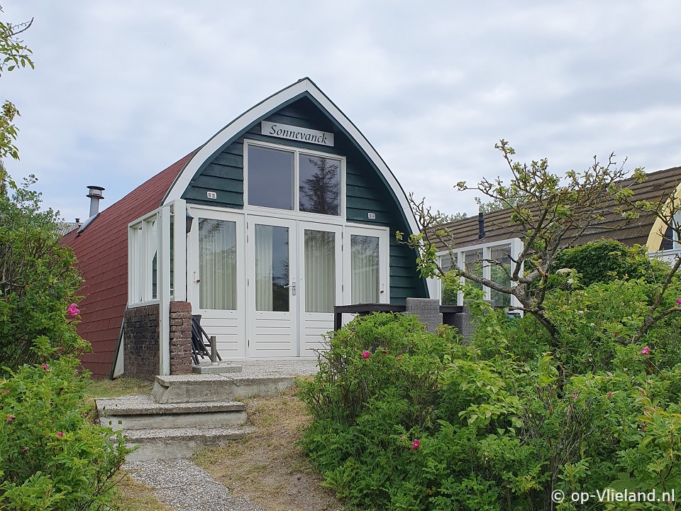 Sonnevanck, Beach finds on Vlieland