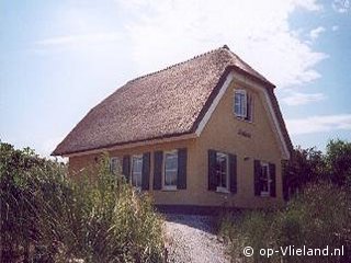 Thalassa, Beach finds on Vlieland