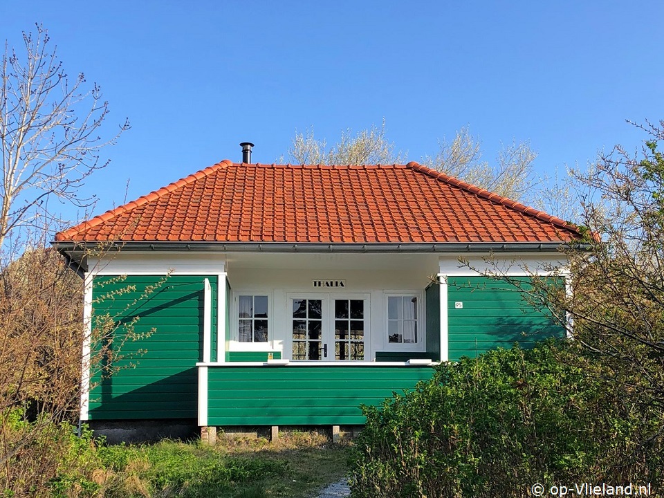 Thalia, Beach finds on Vlieland