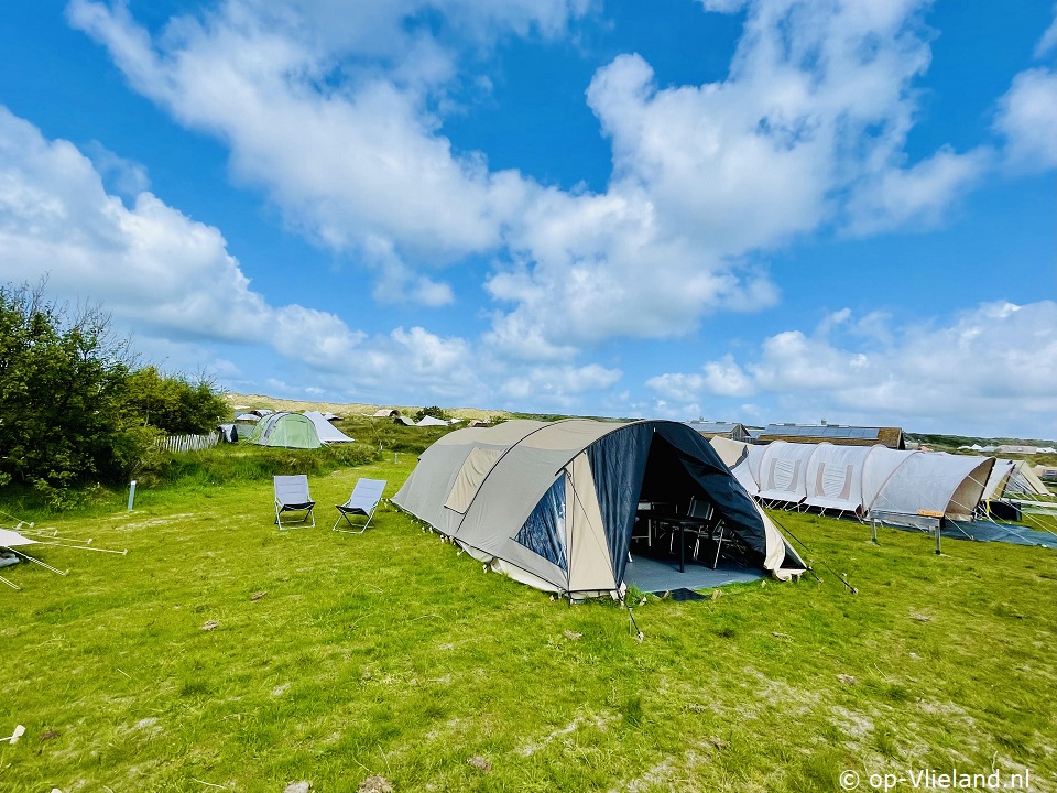 Duinkonijn, Camping on Vlieland