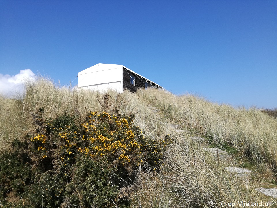 Duinzicht Stortemelk, Holiday home on Vlieland for 6 persons