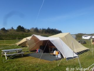 Vergrote Zilvermeeuw, Camping on Vlieland