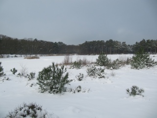 Christmas on Vlieland