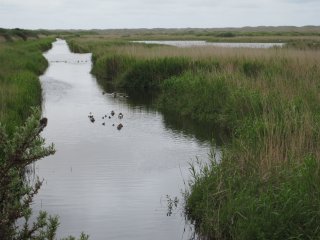 Spring-on-Vlieland