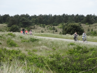 A breath of fresh air on Vlieland