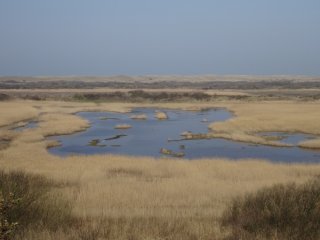 Exhibitions on Vlieland