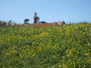 Doctor Deen on Vlieland