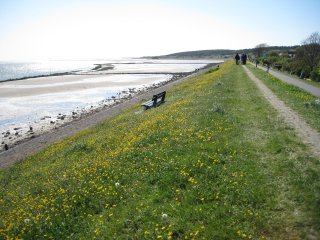 Spring-on-Vlieland